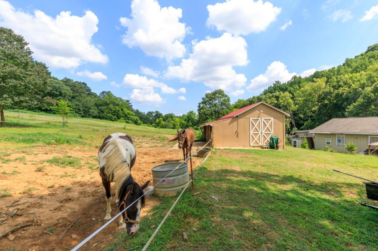 4 Bedroom Country Getaway Nashville Buitenkant foto